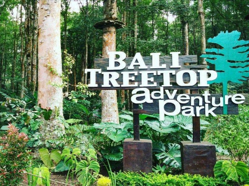 Bali Treetop Bedugul